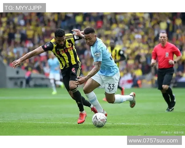 沃特福德对阵切尔西精彩直播全程回顾与赛后分析