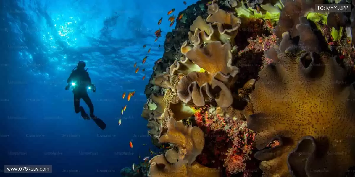 汗水与荣耀的舞台，等你来战！⚽ 报名即享专属福利，点击开启征程！